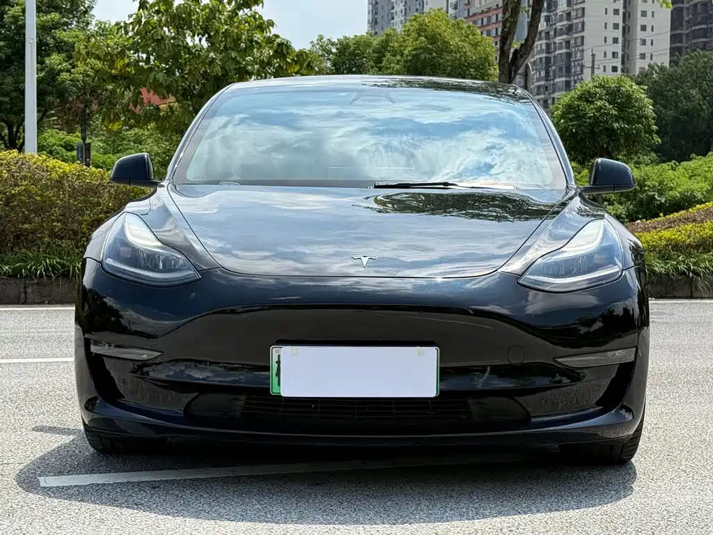Tesla Model 3 2021 Performance 3D6