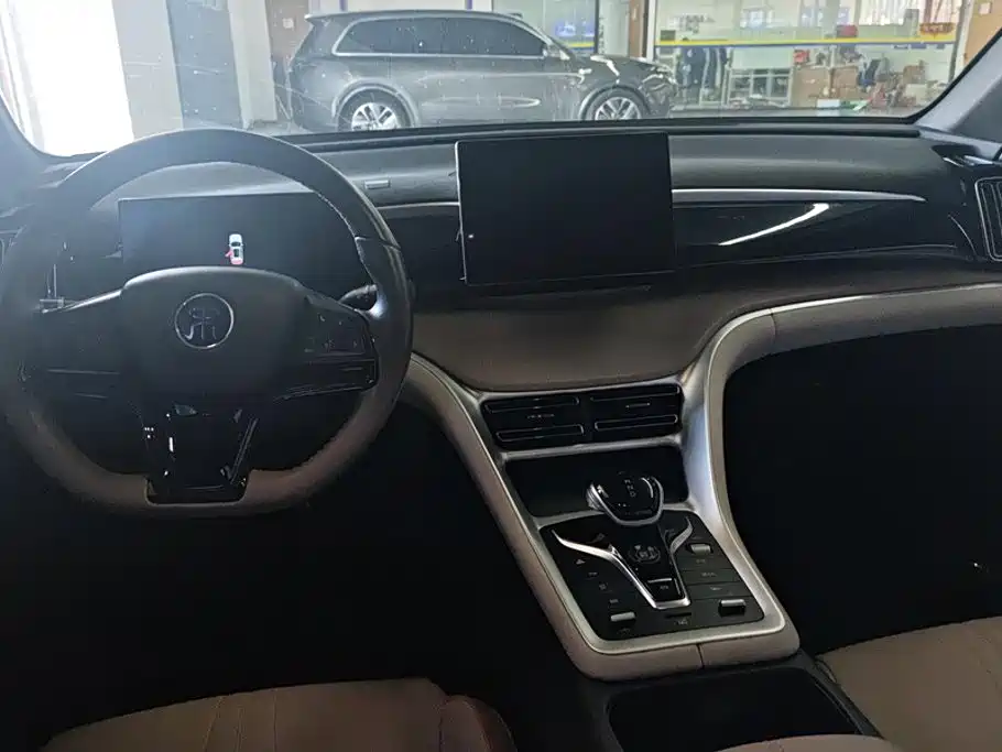 BYD Pro New Energy — миниатюра 12