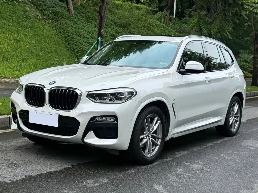 BMW X3 — миниатюра 2