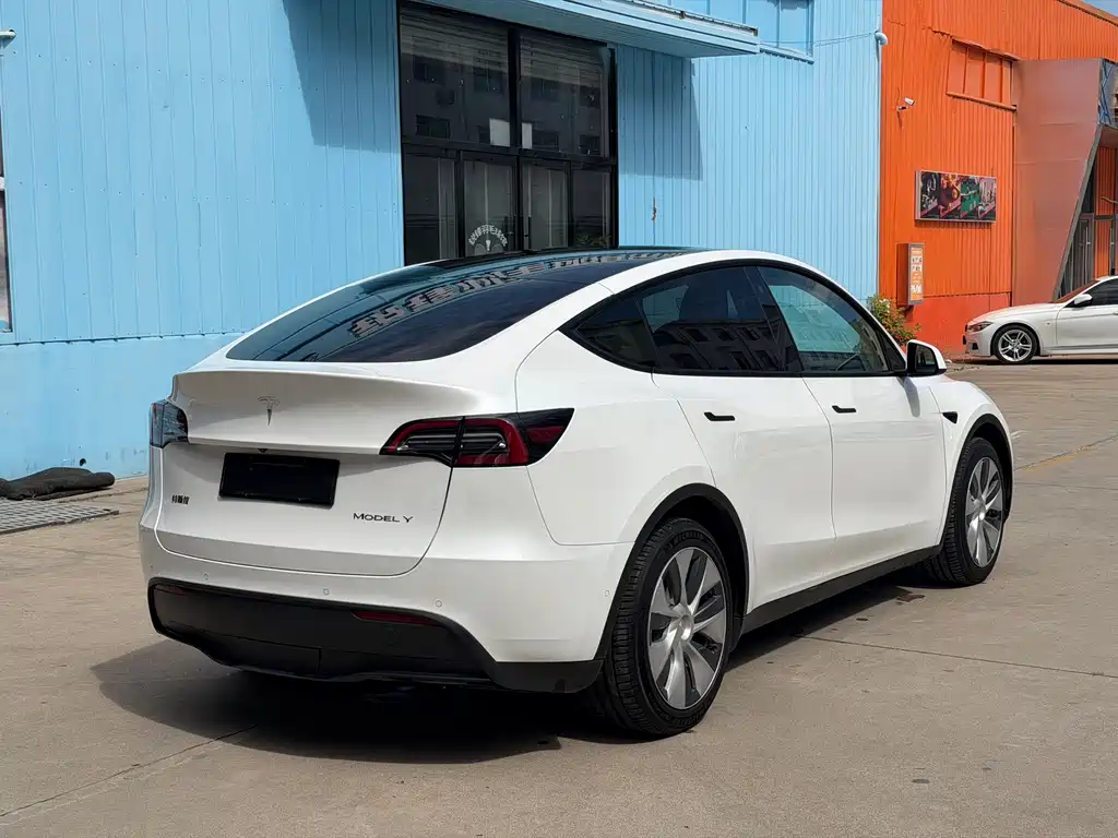 Tesla Model Y — миниатюра 6