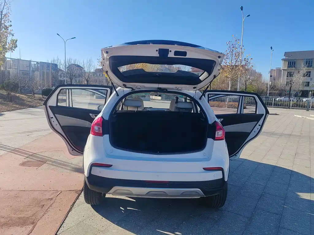 RUILAN AUTOMOBILE MAPLE LEAF 30X