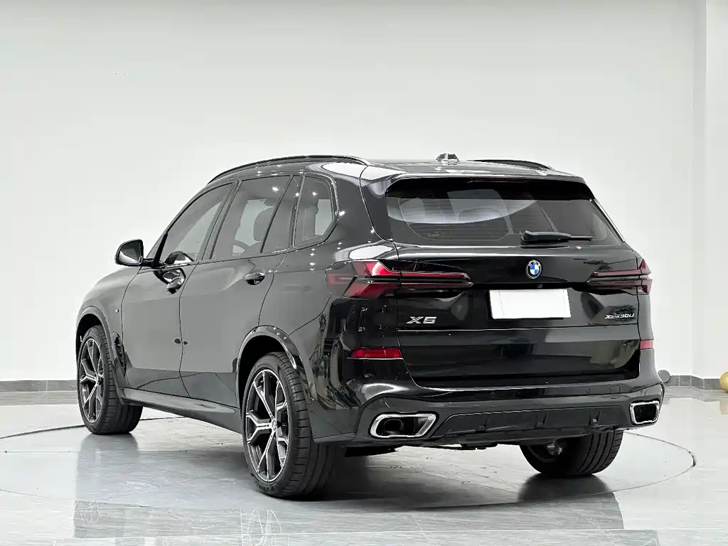 BMW X5 2025 xDrive 30Li Premium M Sport
