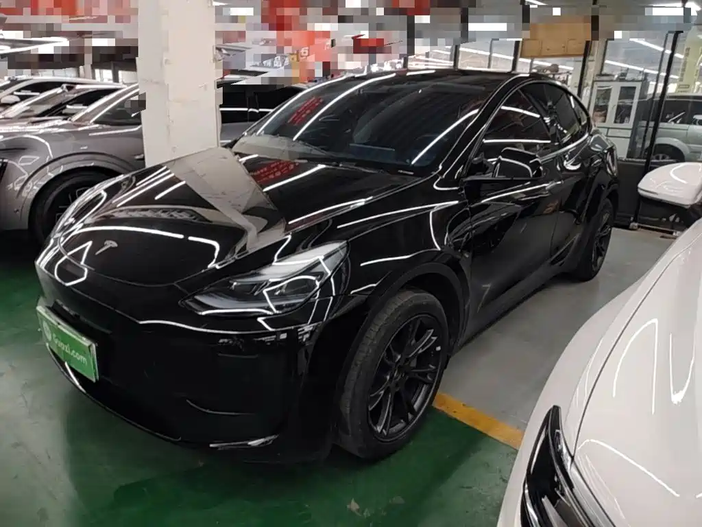 Tesla Model Y — миниатюра 2
