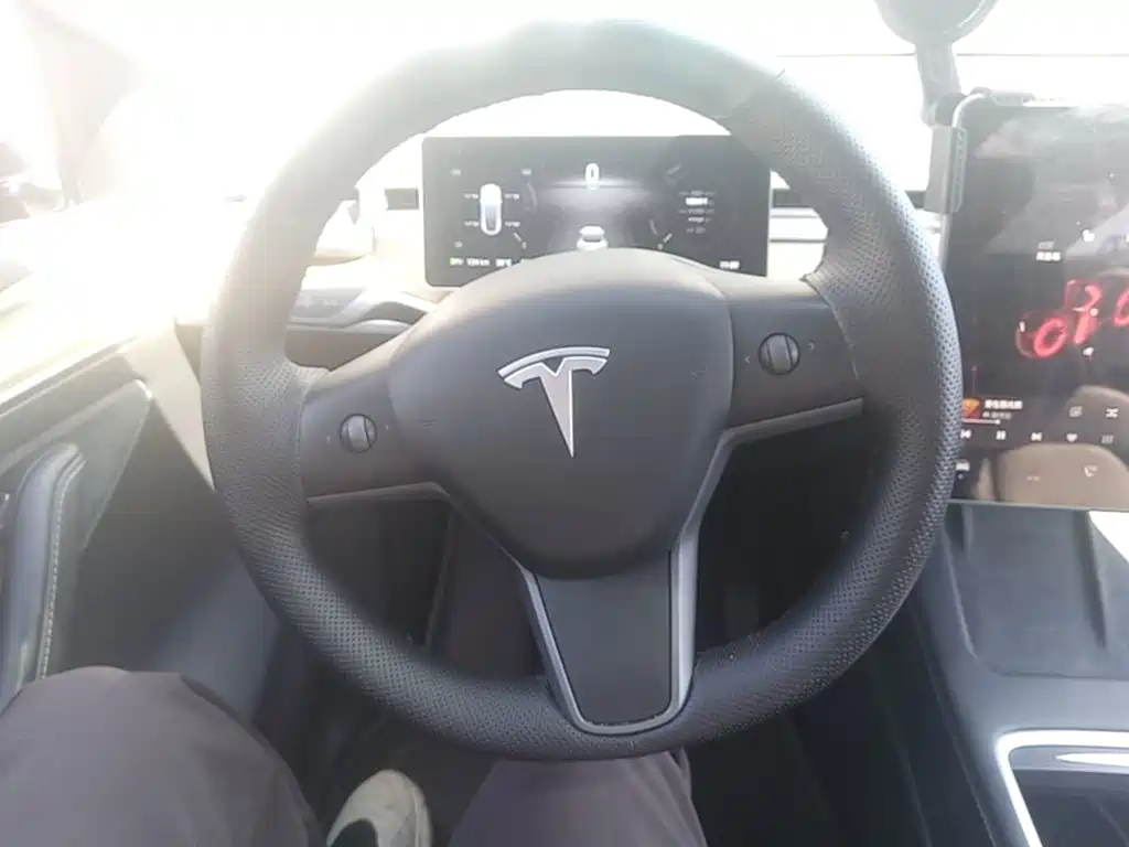 Tesla Model Y — миниатюра 11