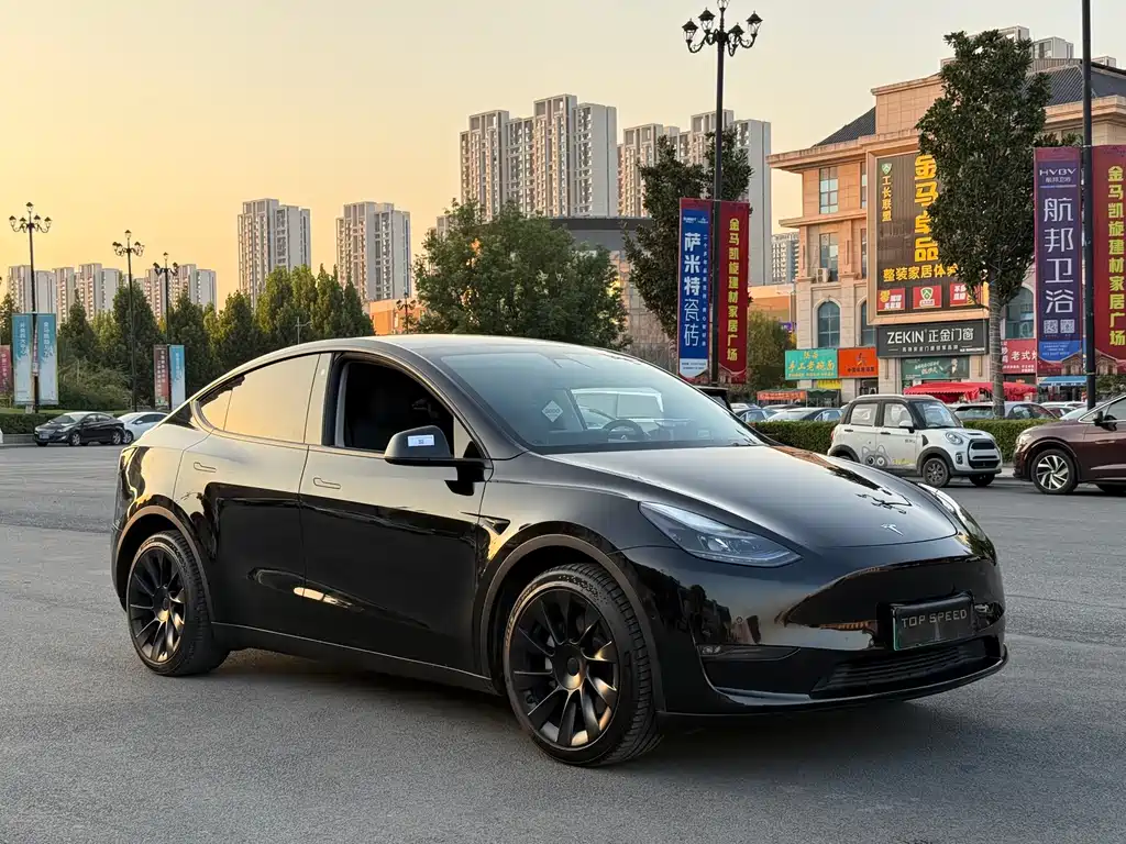 Tesla Model Y — миниатюра 2