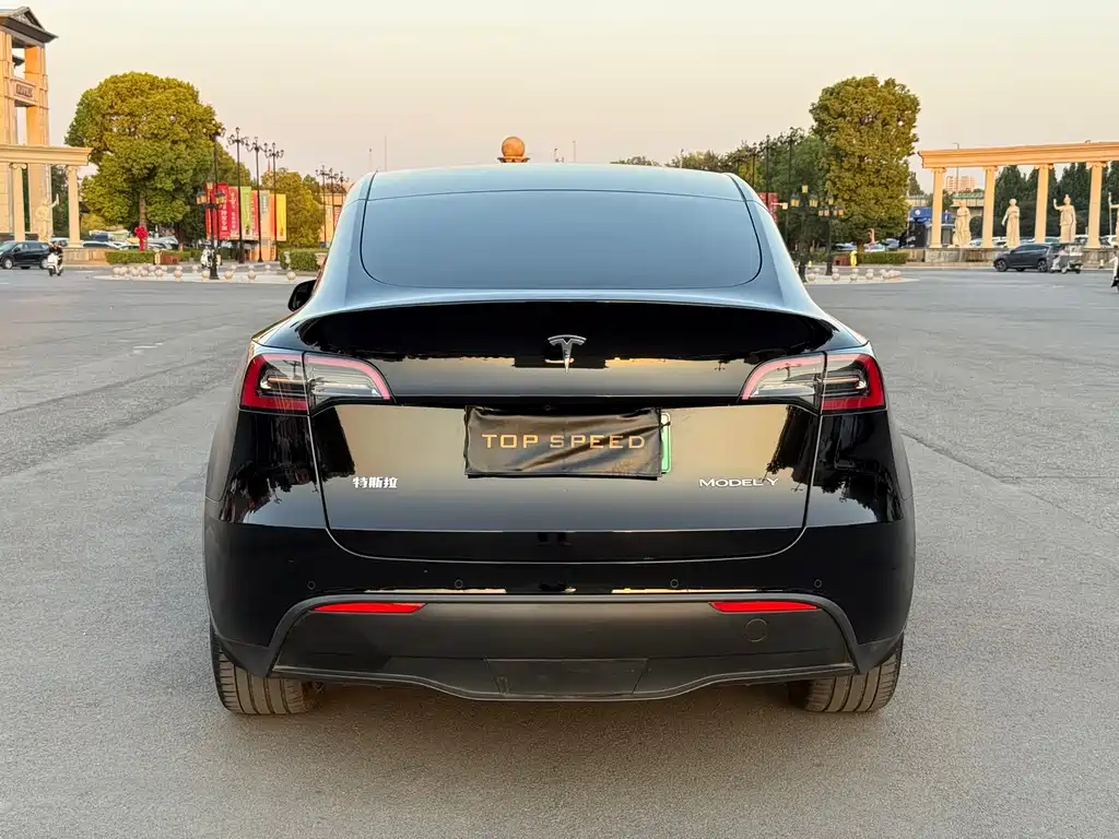 Tesla Model Y — миниатюра 7