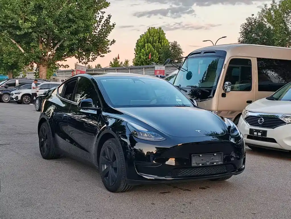 Tesla Model Y — миниатюра 3
