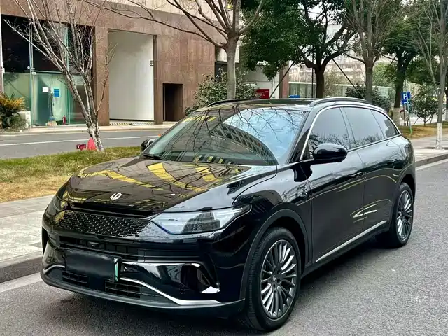 2024 Leapmotor C11