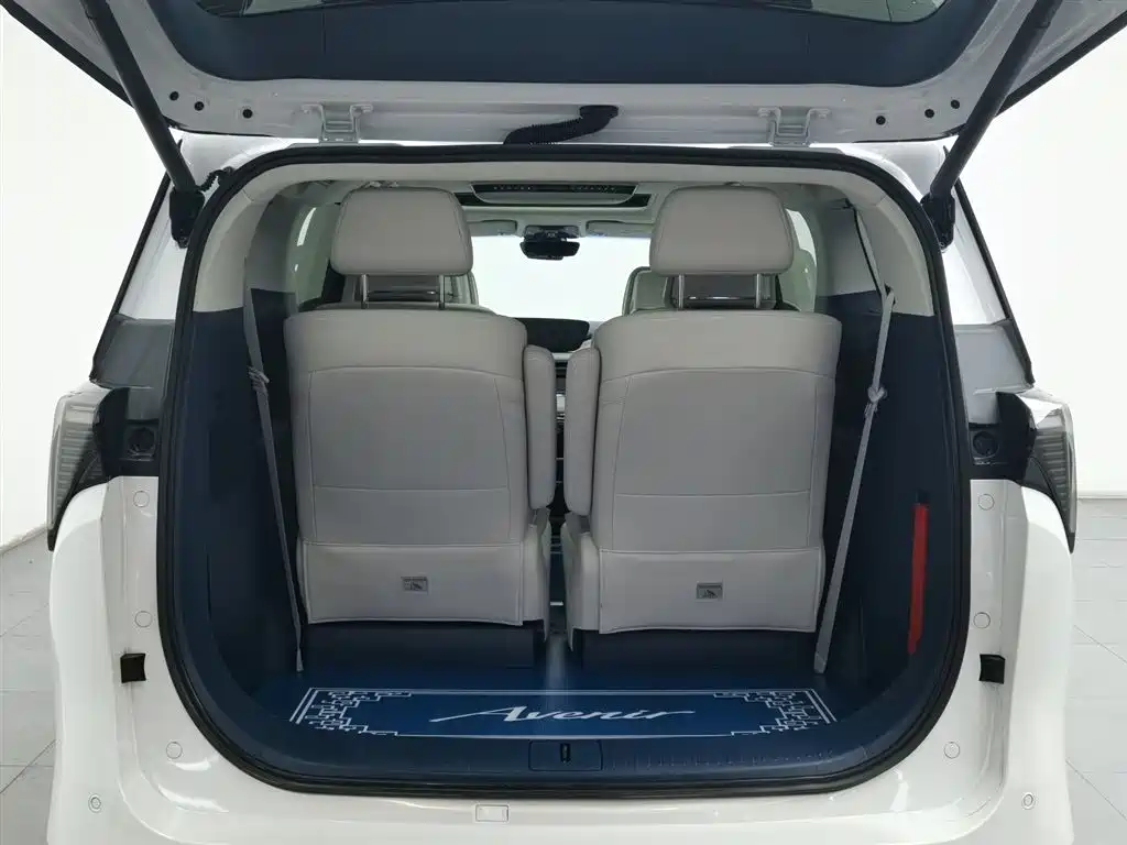 BUICK GL8 NEW ENERGY