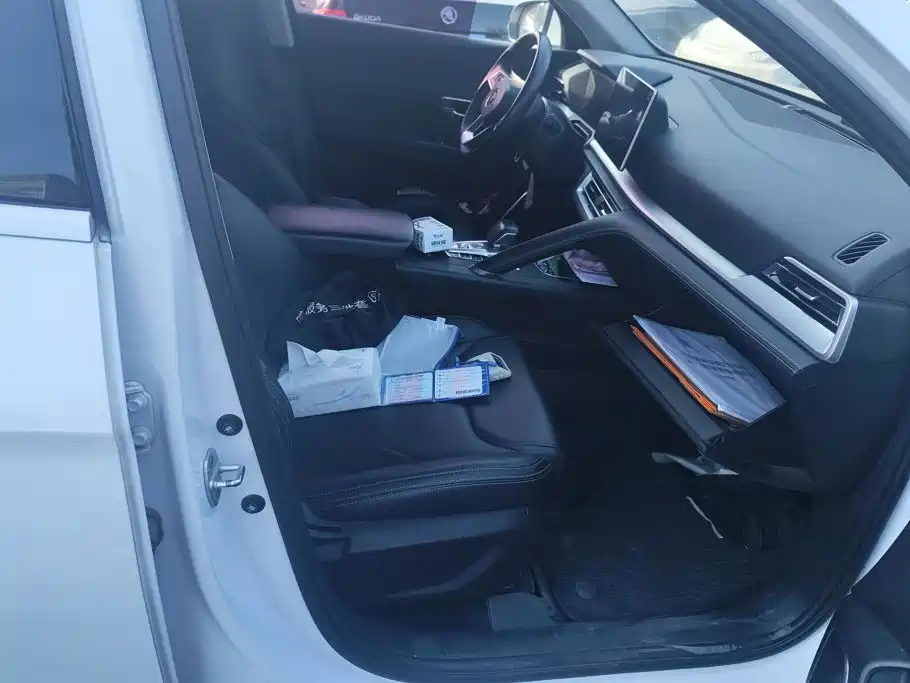 BYD Pro — миниатюра 8