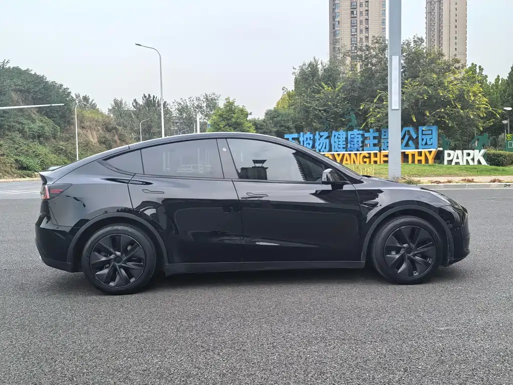 Tesla Model Y — миниатюра 25