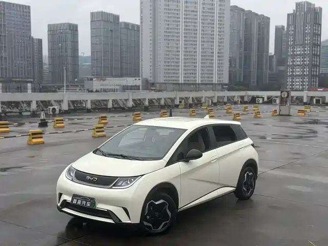 BYD DOLPHIN 2025