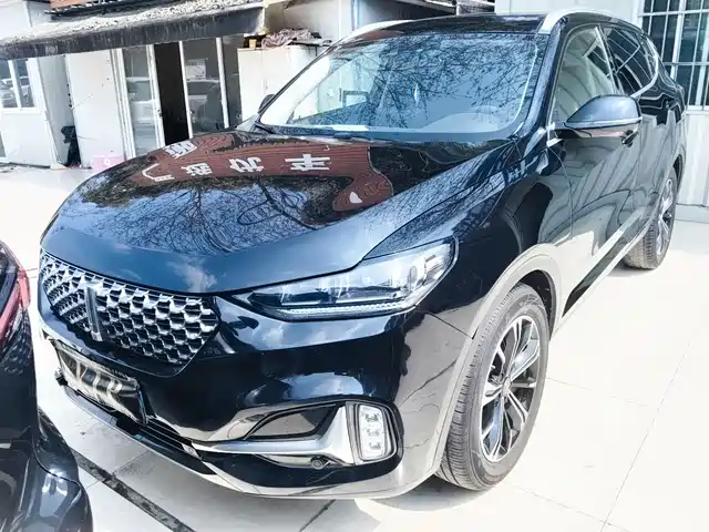 WEI PAI WEI BRAND VV6