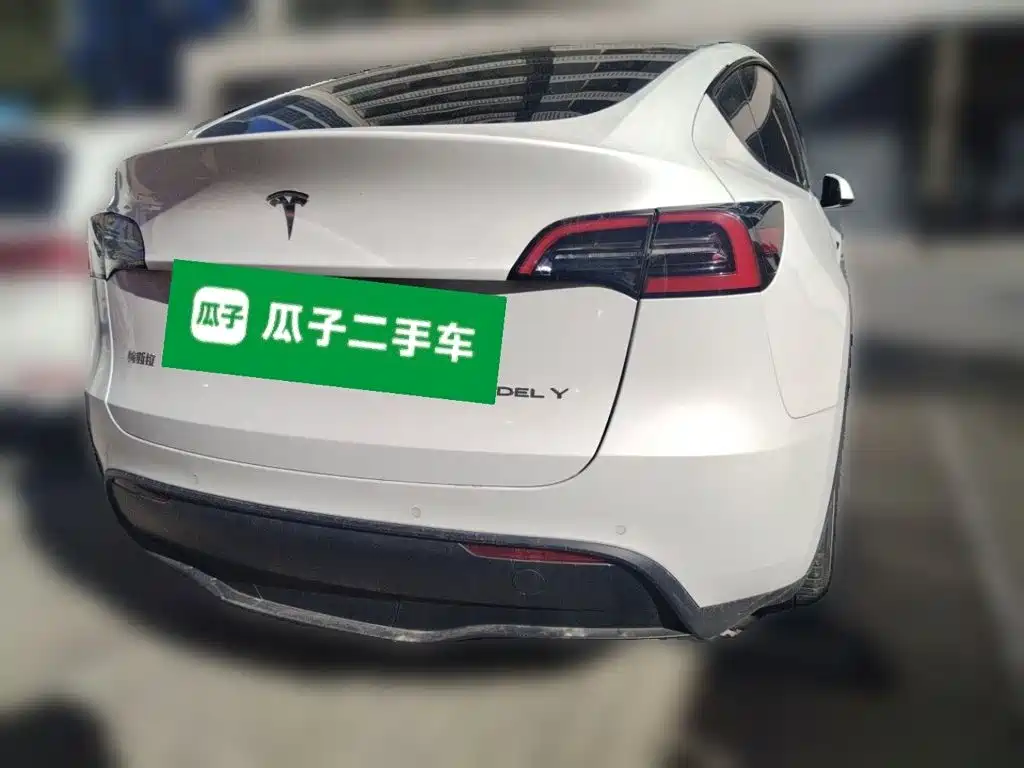 Tesla Model Y — миниатюра 3