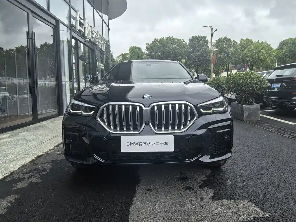 BMW X6 — миниатюра 2