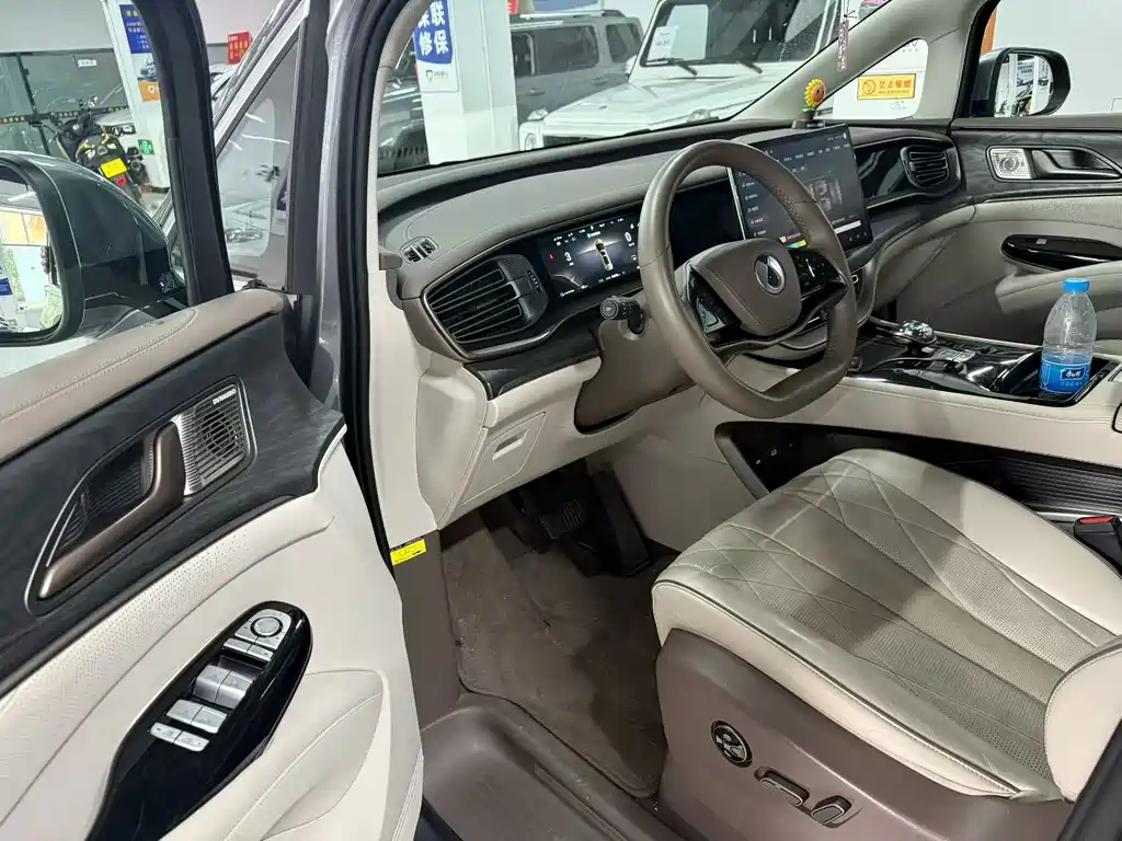 Denza Denza D9 — миниатюра 7