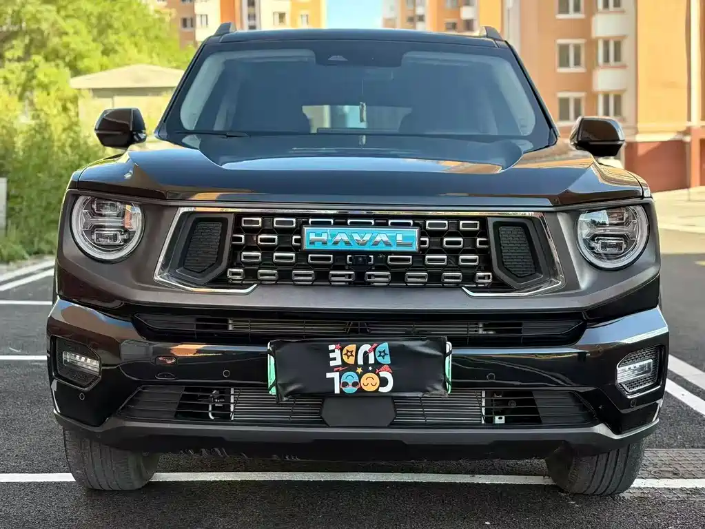 Haval Big Dog PLUS New Energy — миниатюра 2