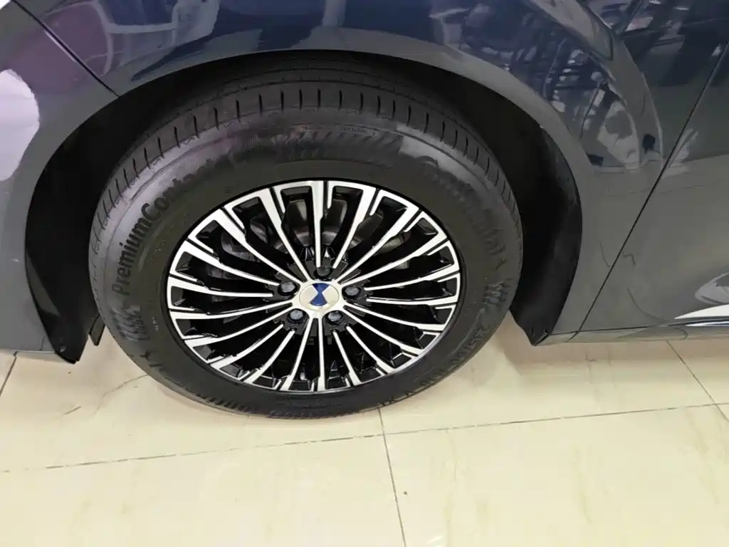 Denza Denza D9 — миниатюра 23