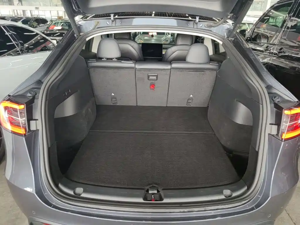Tesla Model Y — миниатюра 19