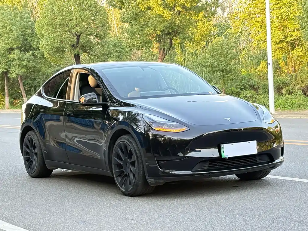 Tesla Model Y — миниатюра 3