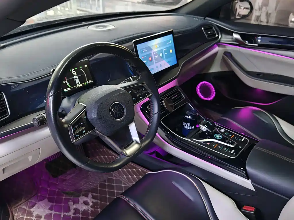 BYD Qin Plus PLUS 2021 DM-i 55KM Flagship