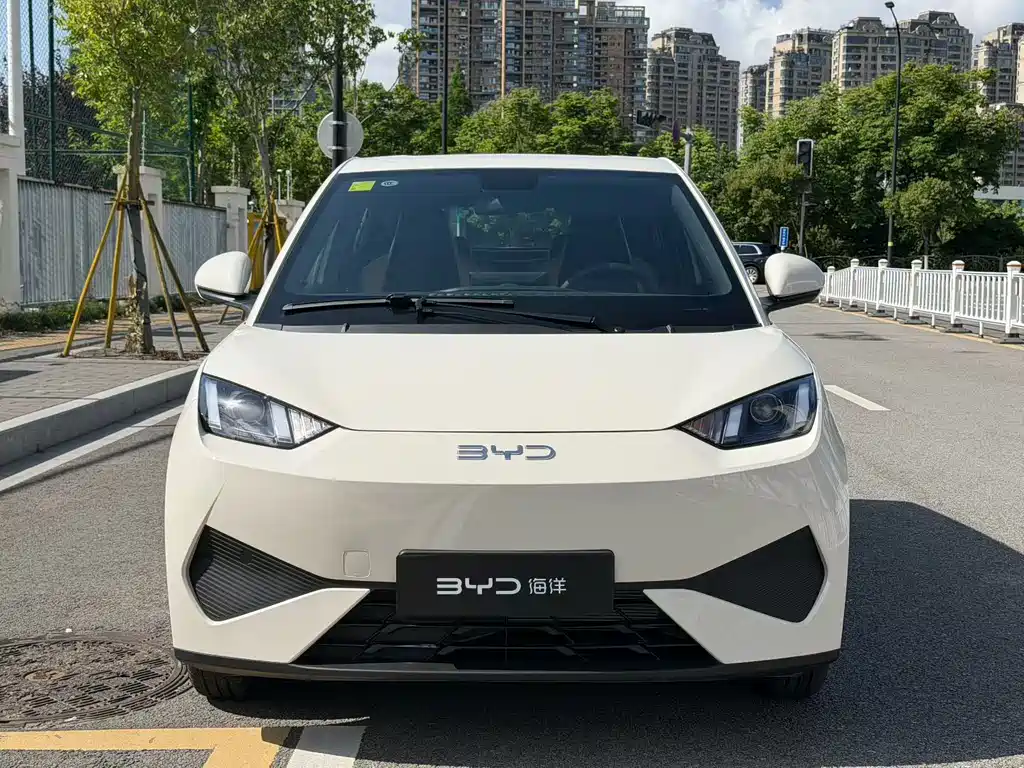 BYD Seagull 2025 Smart Drive 305km