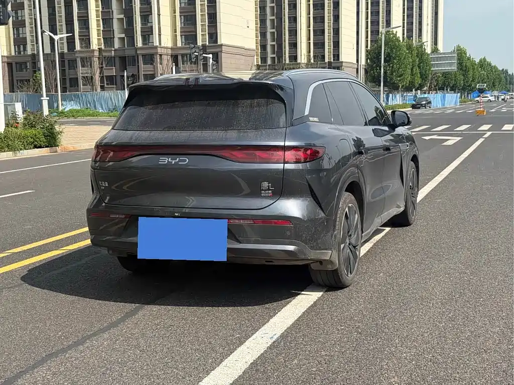 BYD Дон Л. — миниатюра 4