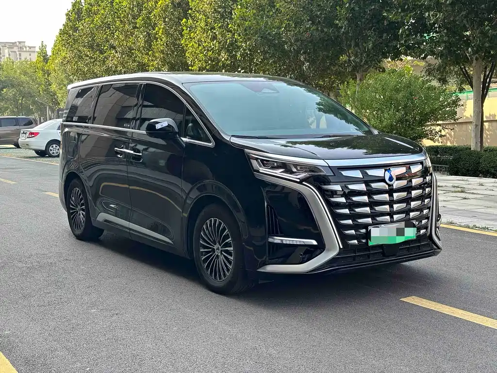 Denza Denza D9 — миниатюра 2