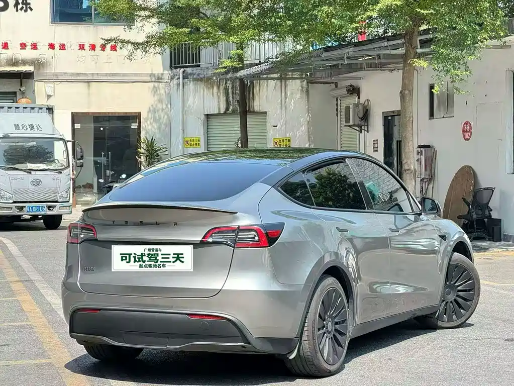 Tesla Model Y — миниатюра 9