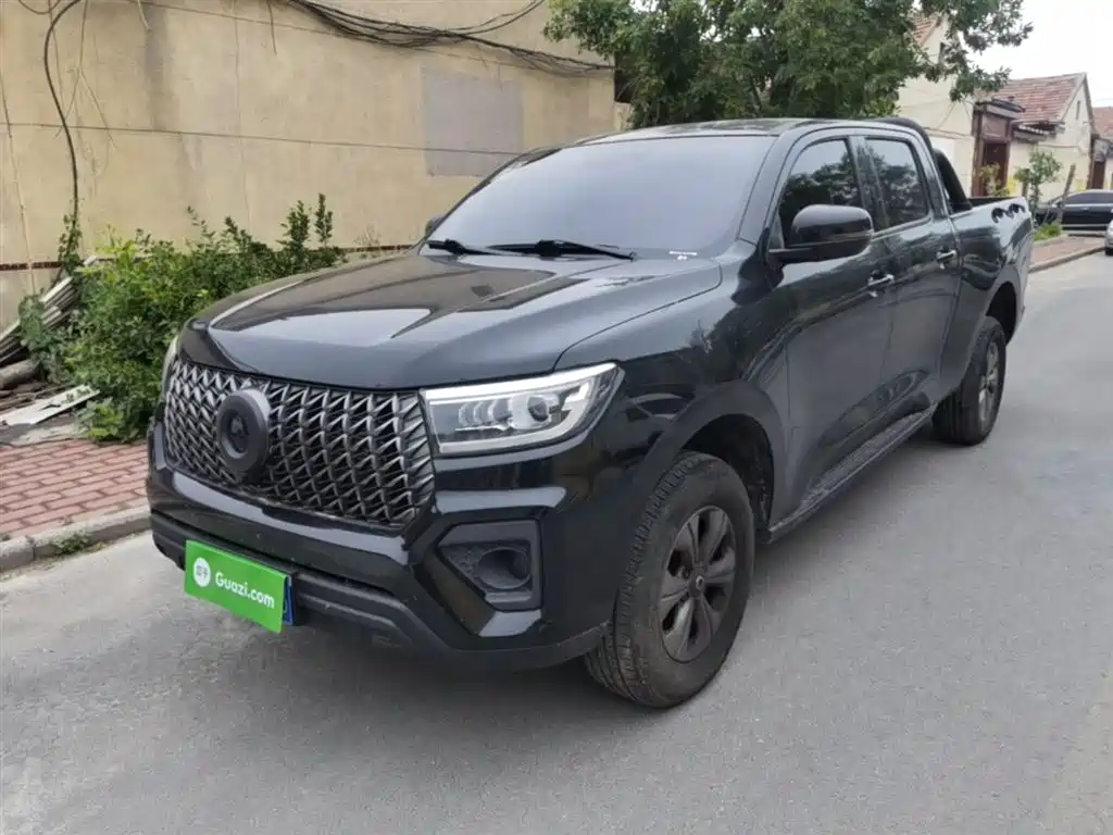 Great Wall Pao 2024