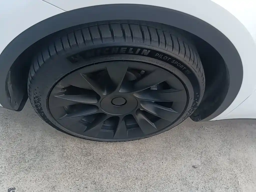 Tesla Model Y — миниатюра 23