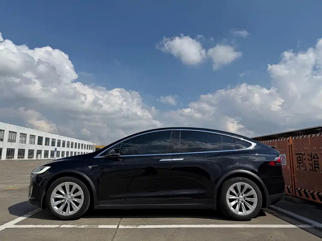 Tesla Model X — миниатюра 7