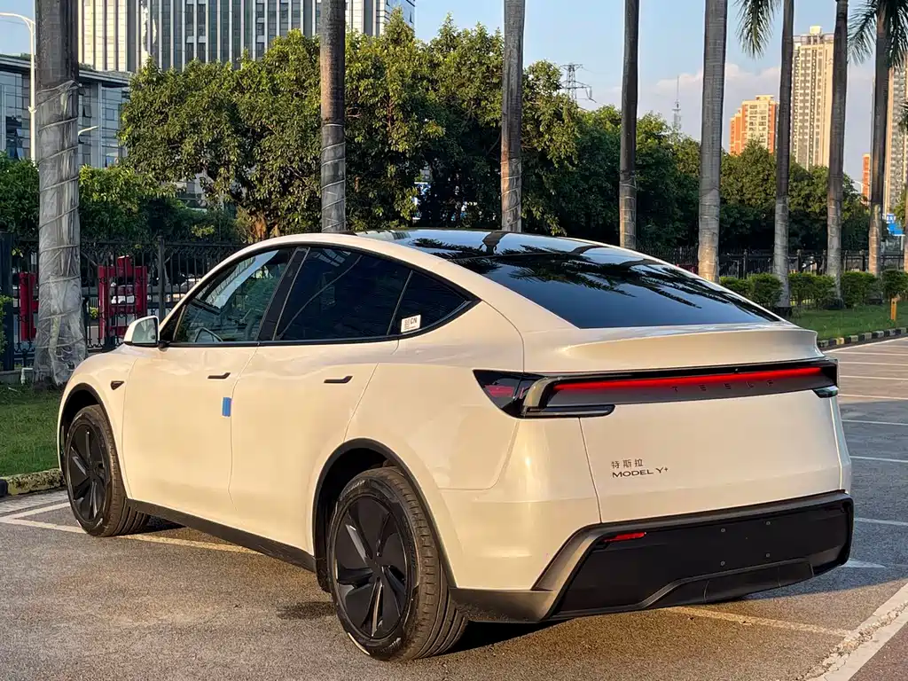 Tesla Model Y — миниатюра 11