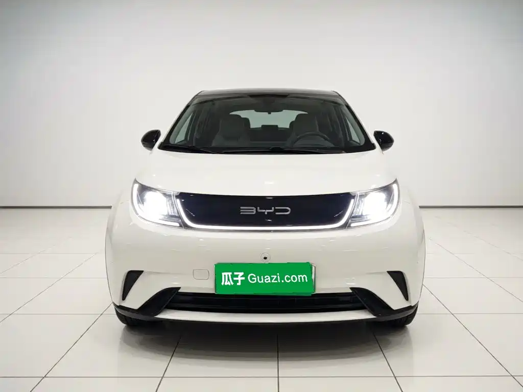 BYD Dolphin — миниатюра 23