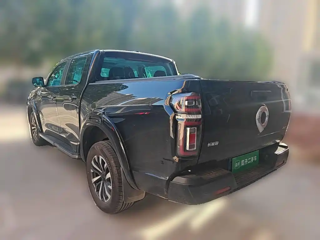 Great Wall Pao — миниатюра 25