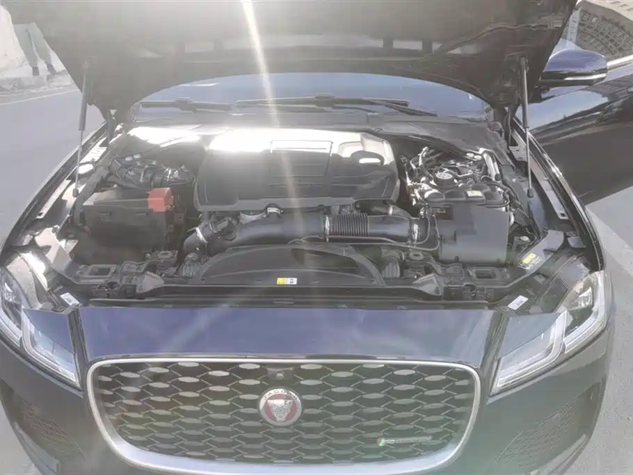 Jaguar XFL 2022 XFL 2.0T P250 Elite Sport