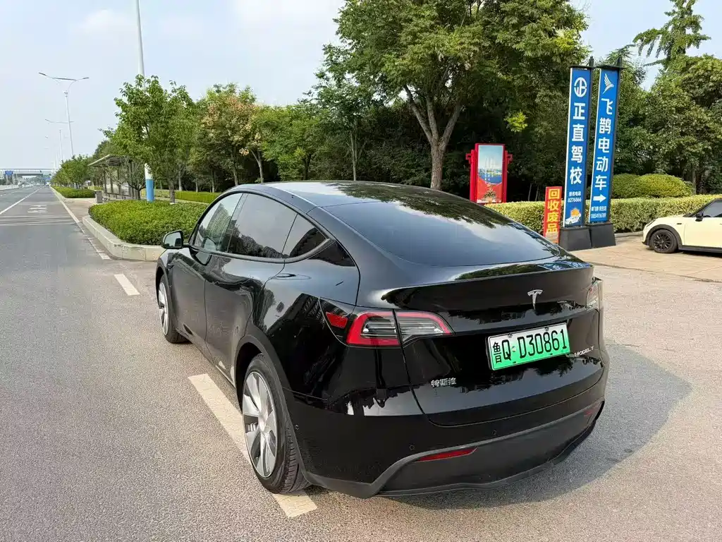 Tesla Model Y — миниатюра 8