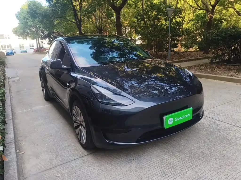 Tesla Model Y — миниатюра 4
