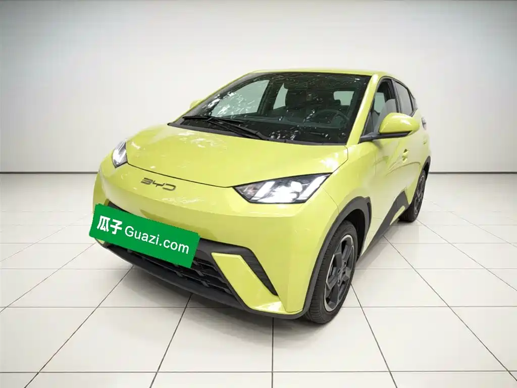 Byd Seagull 2023