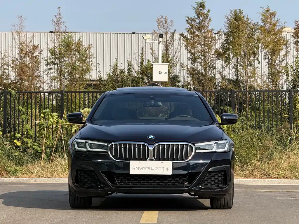BMW 5 Series — миниатюра 19