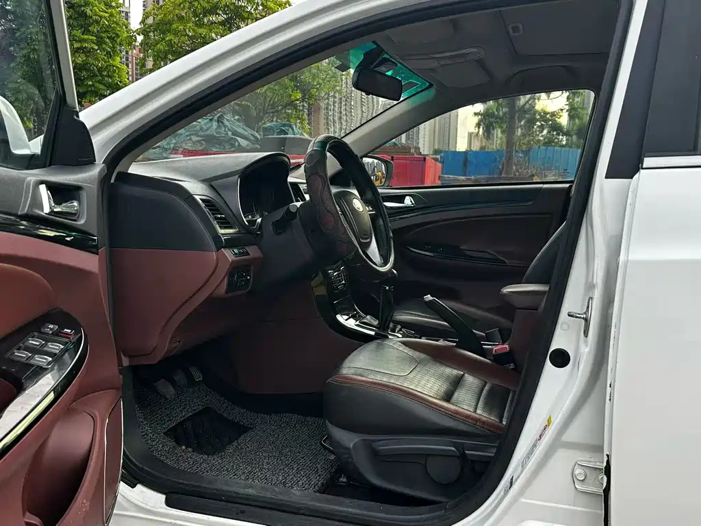 BYD Surui — миниатюра 5
