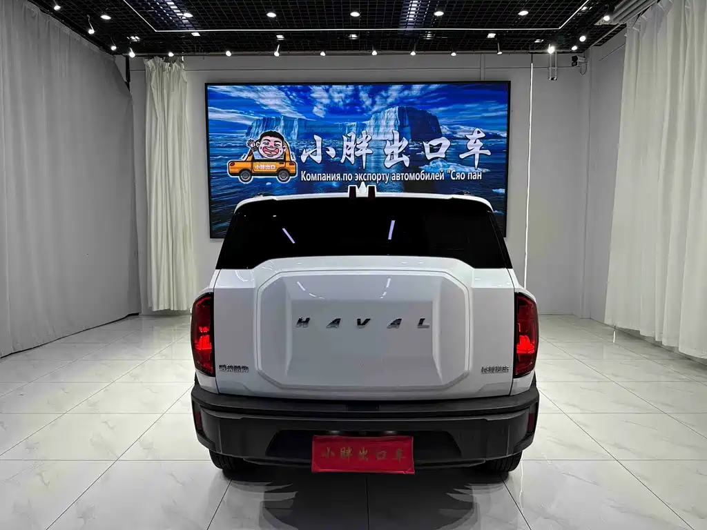 Haval Cool Dog — миниатюра 5