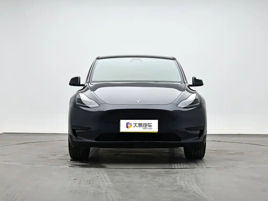 Tesla Model Y — миниатюра 2