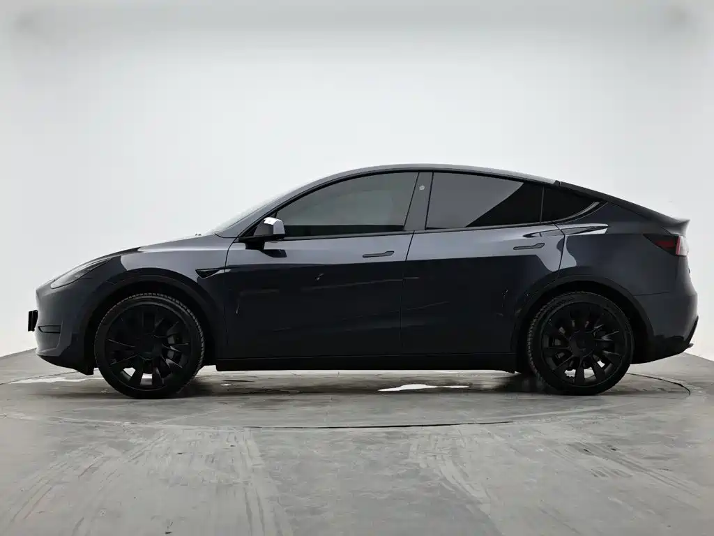 Tesla Model Y — миниатюра 6