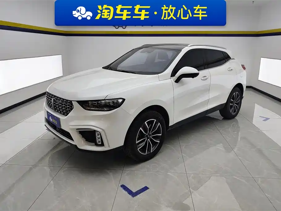 WEI PAI WEI BRAND VV5