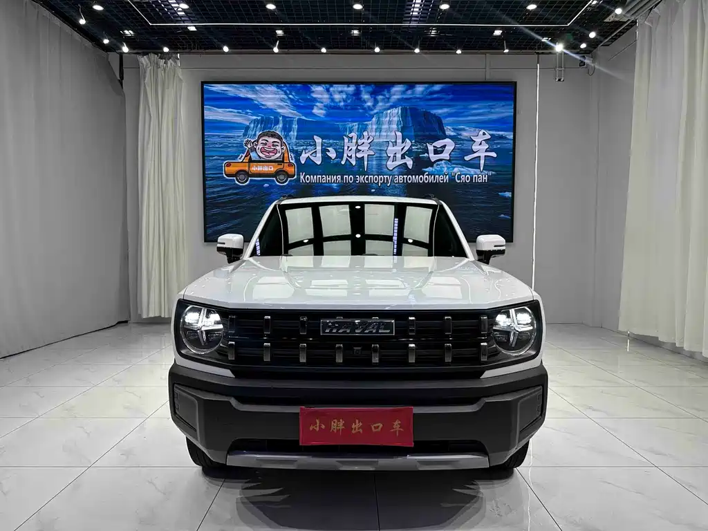 Haval Cool Dog — миниатюра 2