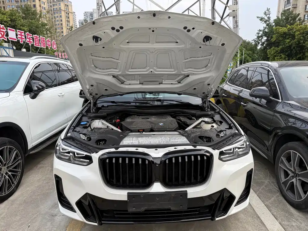 BMW X3 — миниатюра 8