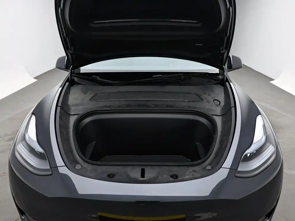 Tesla Model Y — миниатюра 15