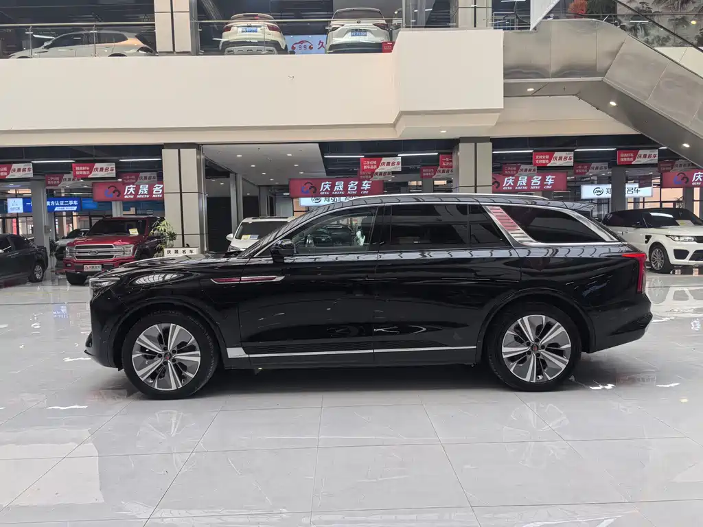 Hongqi E-HS9 2022 690km мест