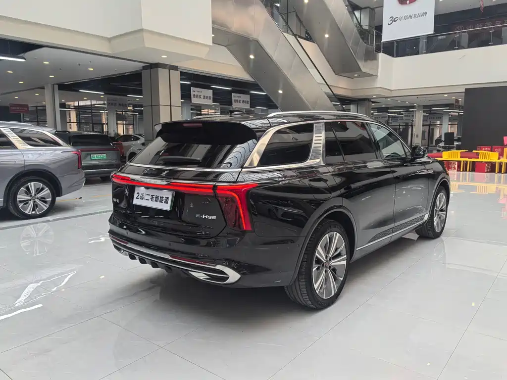 Hongqi E-HS9 2022 690km мест